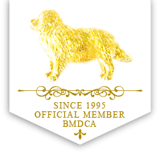 エリン舎|静岡県掛川市のバーニーズマウンテンドッグを専門に扱うブリーダー犬舎/